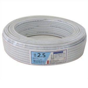 Á¶ÀÌŰ³Ý:·Î¸Æ½º/(CVF)-2.5SQ(80M)