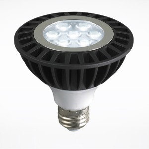 Ű: LED PAR30 15W ũ׷ ֱ