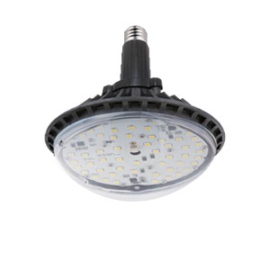  LED ī2  100W (ü)