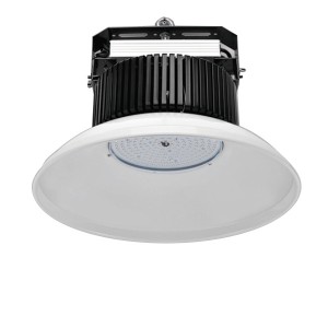  LED ī2  100W (ü)